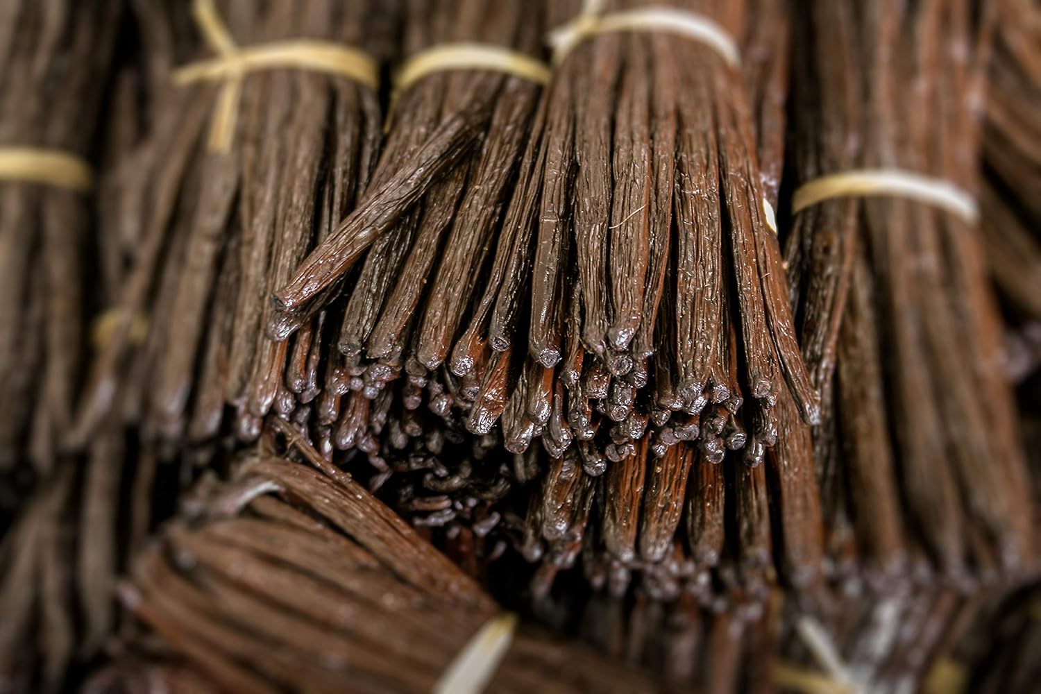 Bulk Vanilla