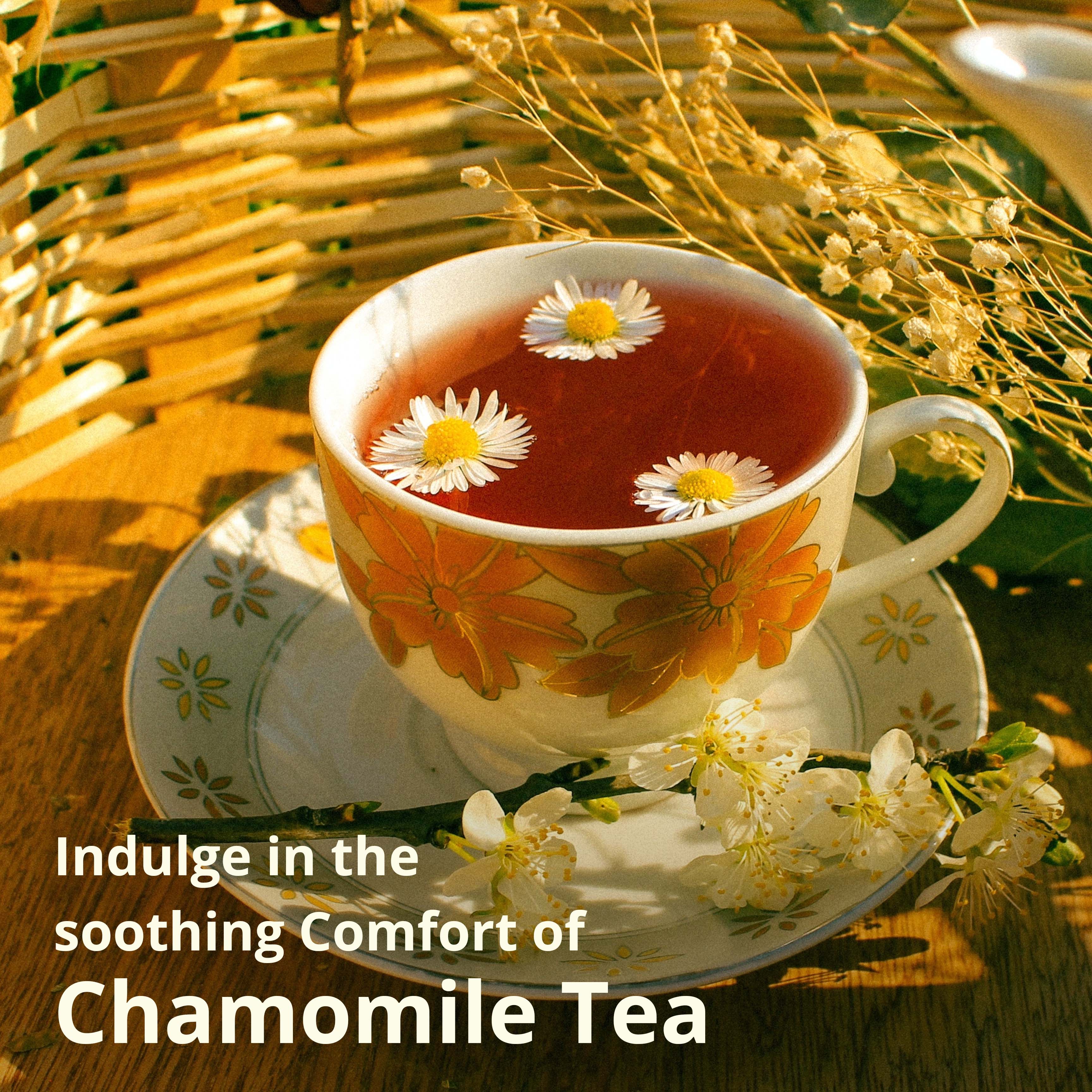 Organic Chamomile Tea - 75 Tea Bags