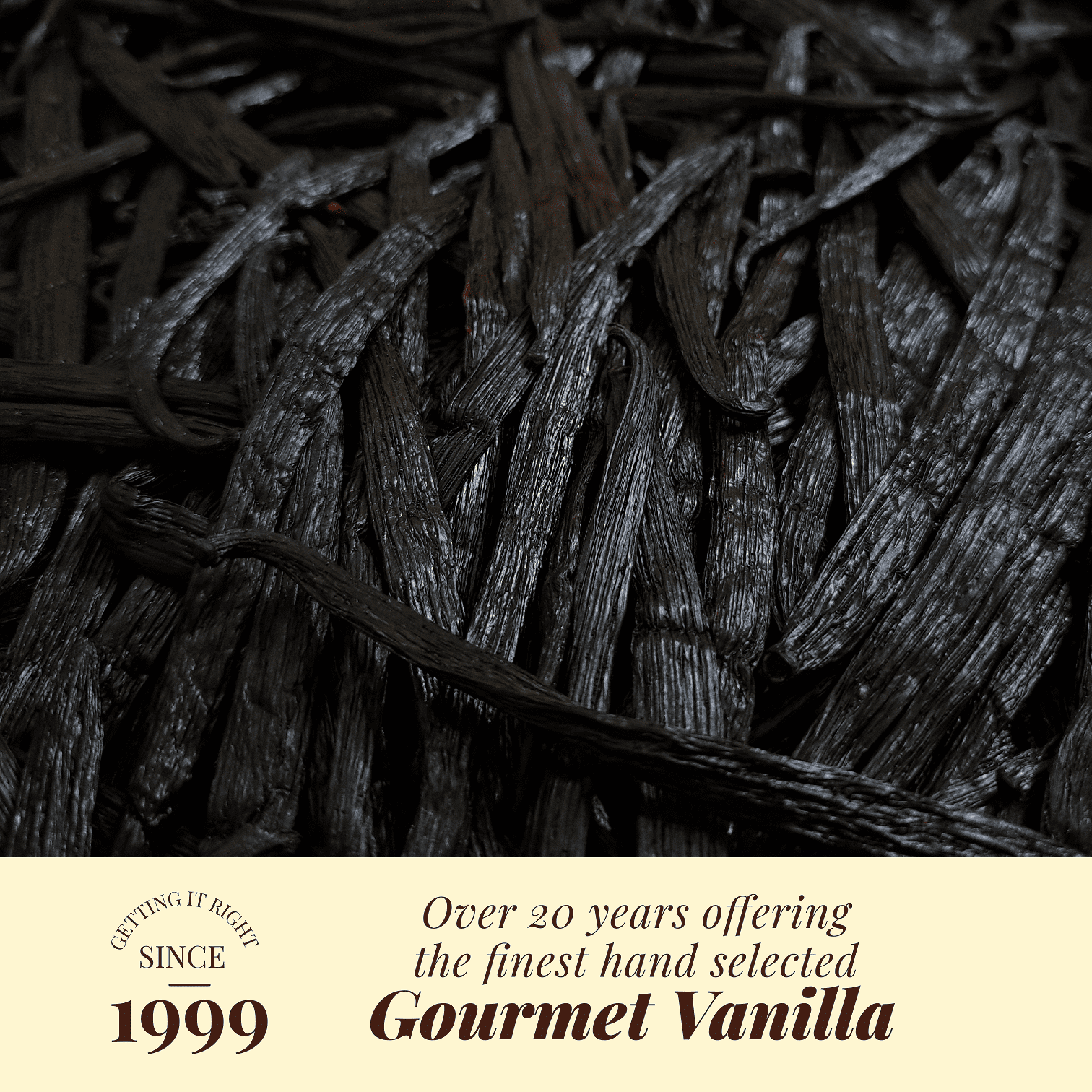 10 Organic Vanilla Beans Grade A | Premium Gourmet Whole Pods