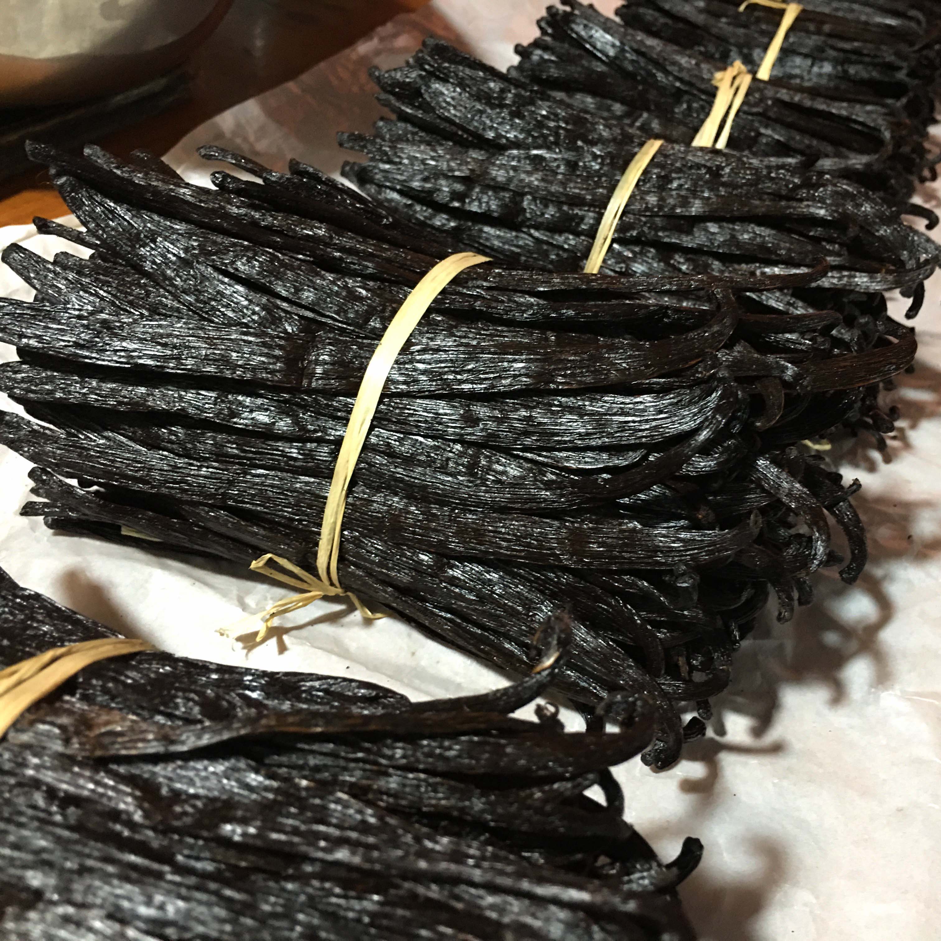 10 Organic Vanilla Beans Grade A | Premium Gourmet Whole Pods