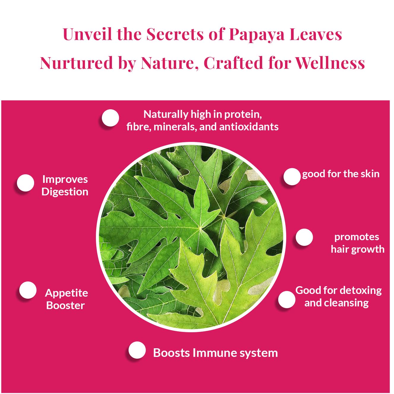 Earth to Tables Papaya Leaves Tea are full of benefits; Boost immune system, Boost appetite, detox and cleanse tea, Improve digestion among others