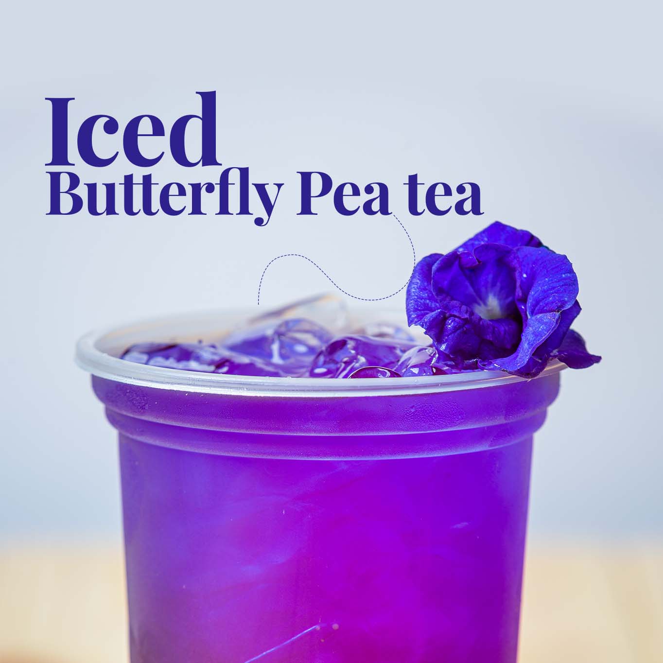 Dried Organic Butterfly Pea Flowers Tea| Certified Organic|75g fleur de pois papillon