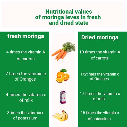 Indulge in the Nutritious values of Dried Moringa Loose Leaves in fresh and dried state