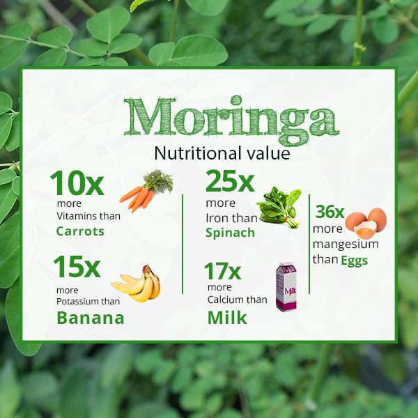 Earth to Tables Moringa Loose Leaves Tea is more of nutritional value with rich in Vitamins, Iron, Magnesium, Potassium and Calcium.