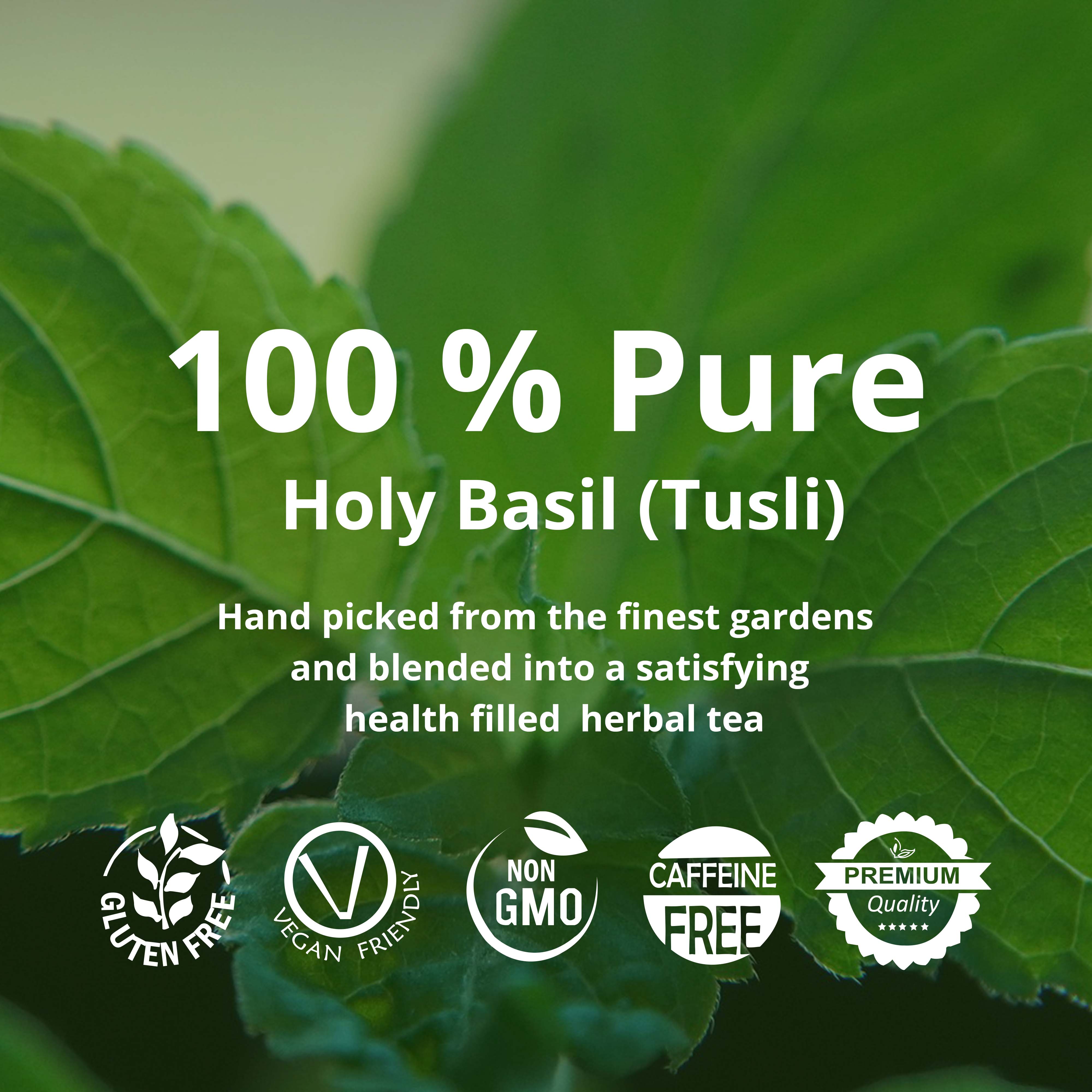 Holy basil tea bulk, organic holy basil tea, tulsi leaves te de albahaca organico organic loose leaf herbal tea holy basil tea blend, organic dried Tulsi, Tulsi leaves, holy basil loose tea, Sugar Free, Caffeine Free, NON-GMO, Vegan, Gluten Free