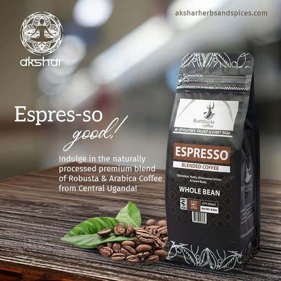 Bushbucks Espresso Coffee Beans 17.6 oz I Grains de café expresso Bushbucks