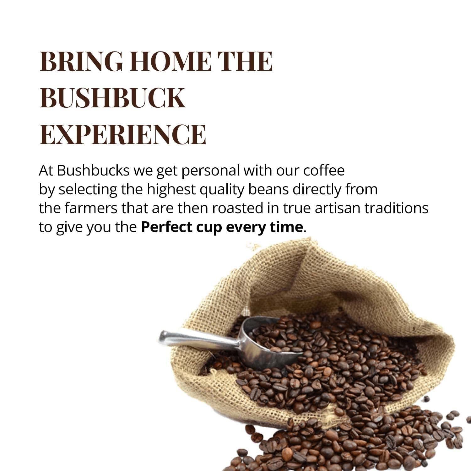 Bushbucks Espresso Coffee Beans 17.6 oz I Grains de café expresso Bushbucks