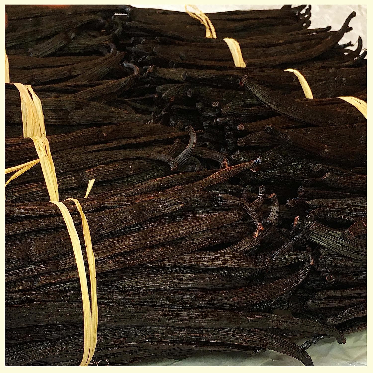 Gourmet Vanilla bean Pods - For Restaurants and Home Baking - vanilla beans grade a 