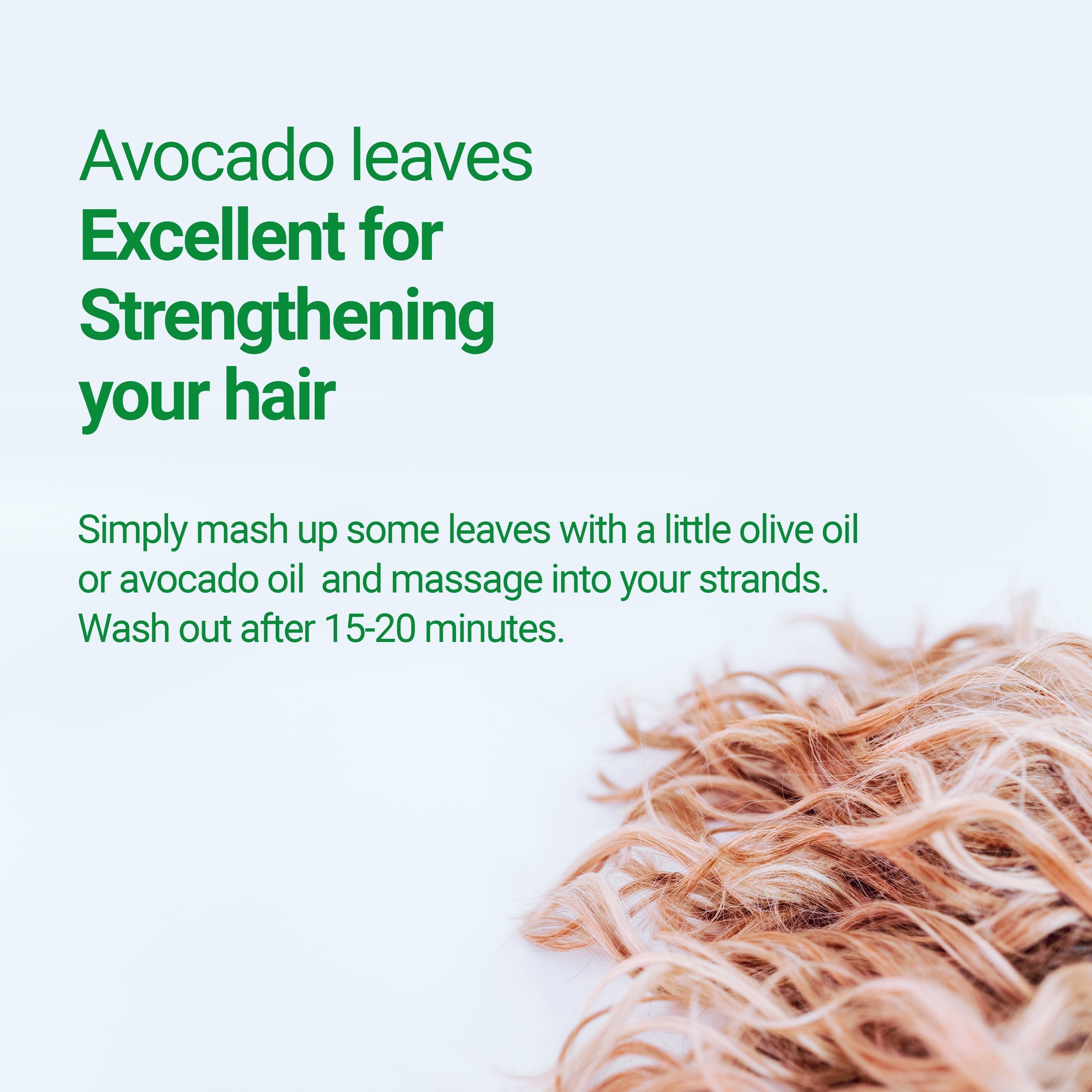 Organic Dried Avocado Leaves 75g