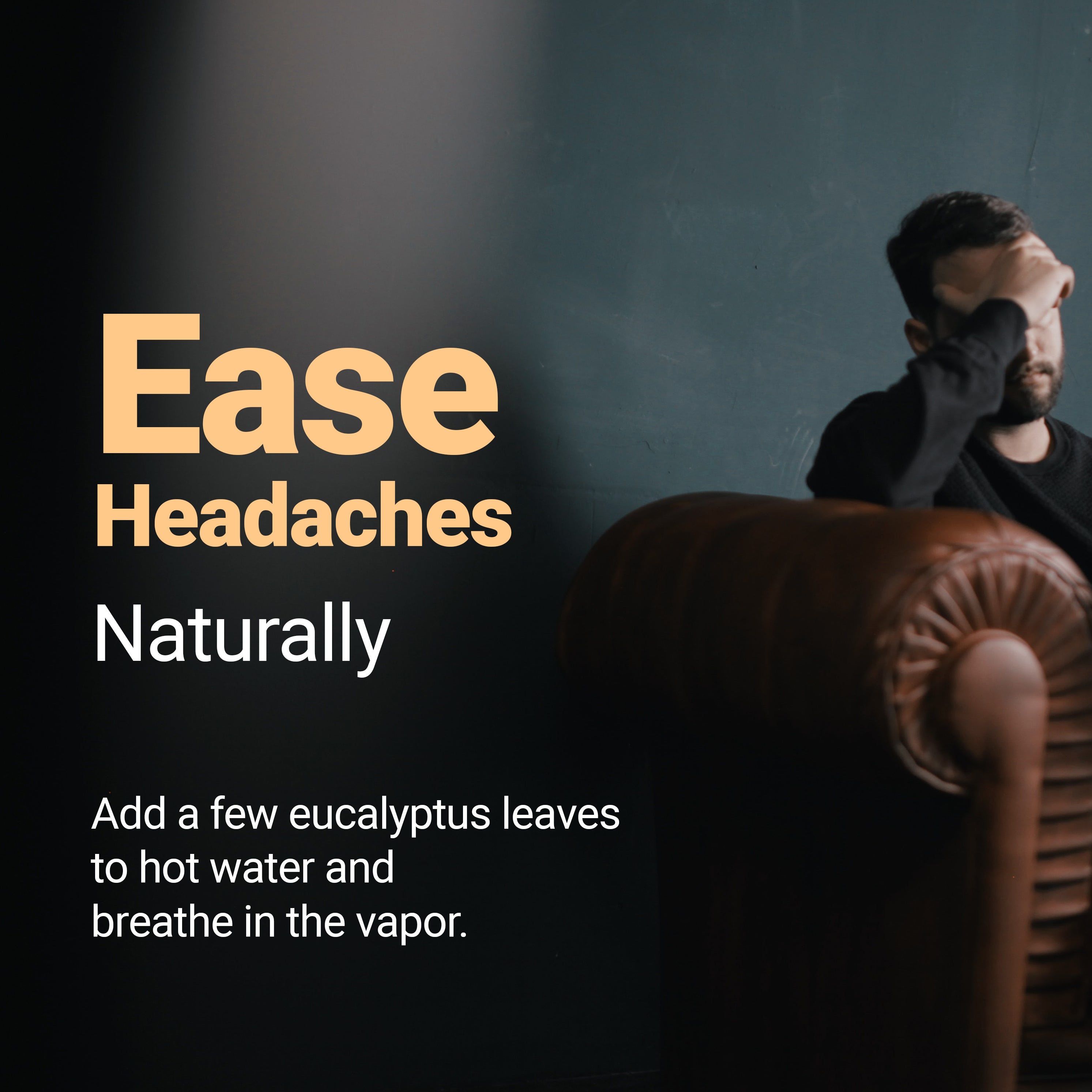 Eucalyptus Leaves added to water ease headaches naturally|Breathe in the vapor| Eucalyptus Loose Leaf| Herbal Tea| Caffeine Free