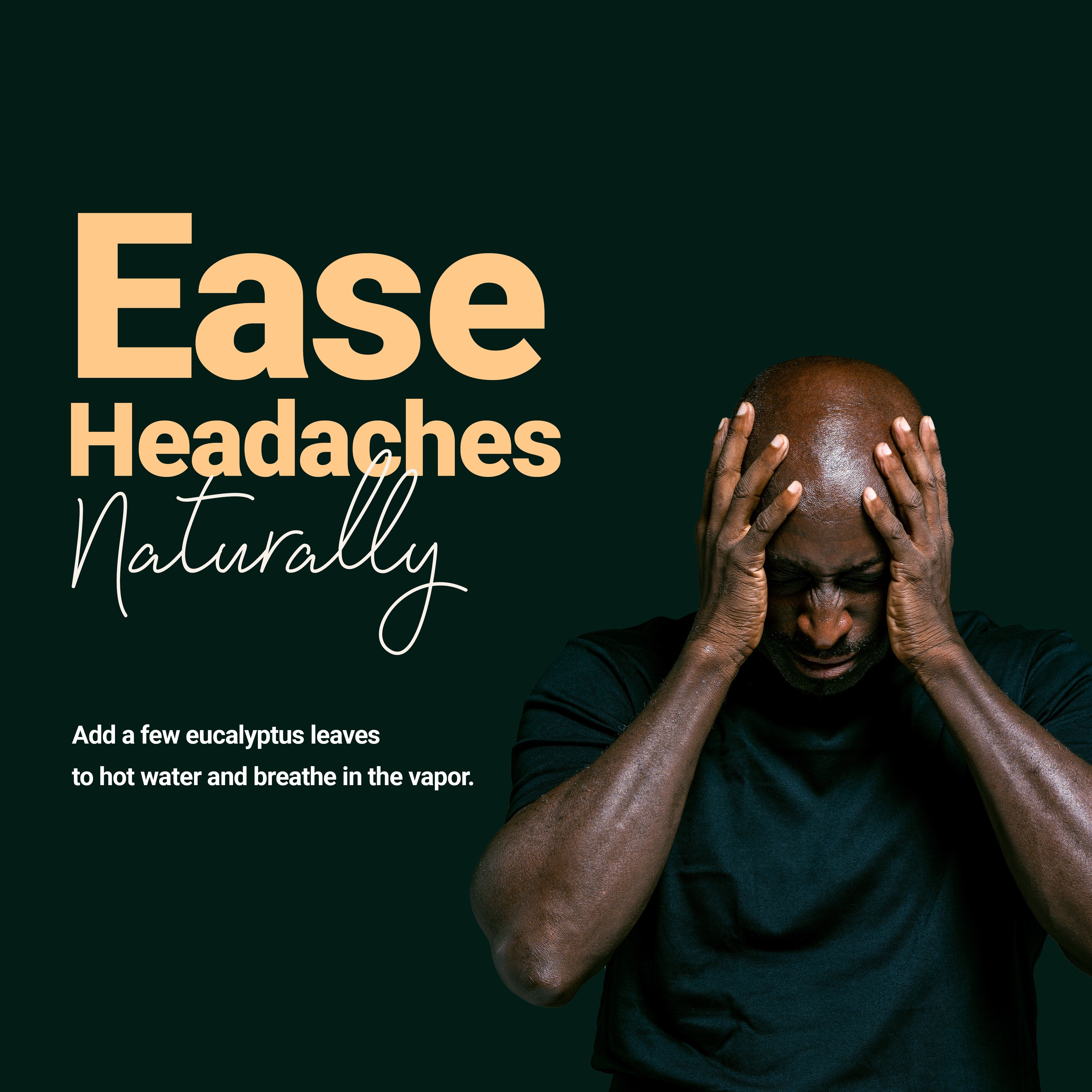 Ease headaches naturally : Add a few eucalyptus leaves to hot water and breathe in the vapor