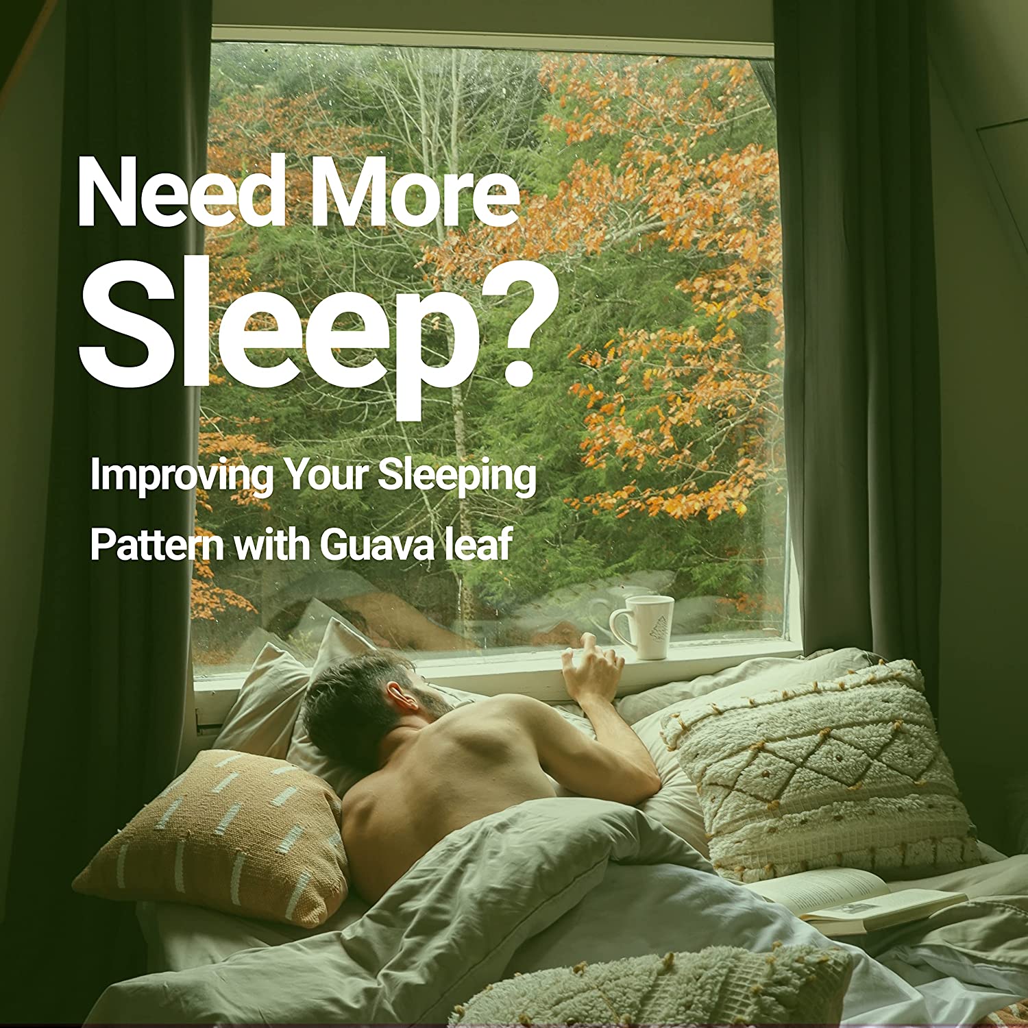 Need more sleep? Guava Leaf will always improve your sleeping patterns.