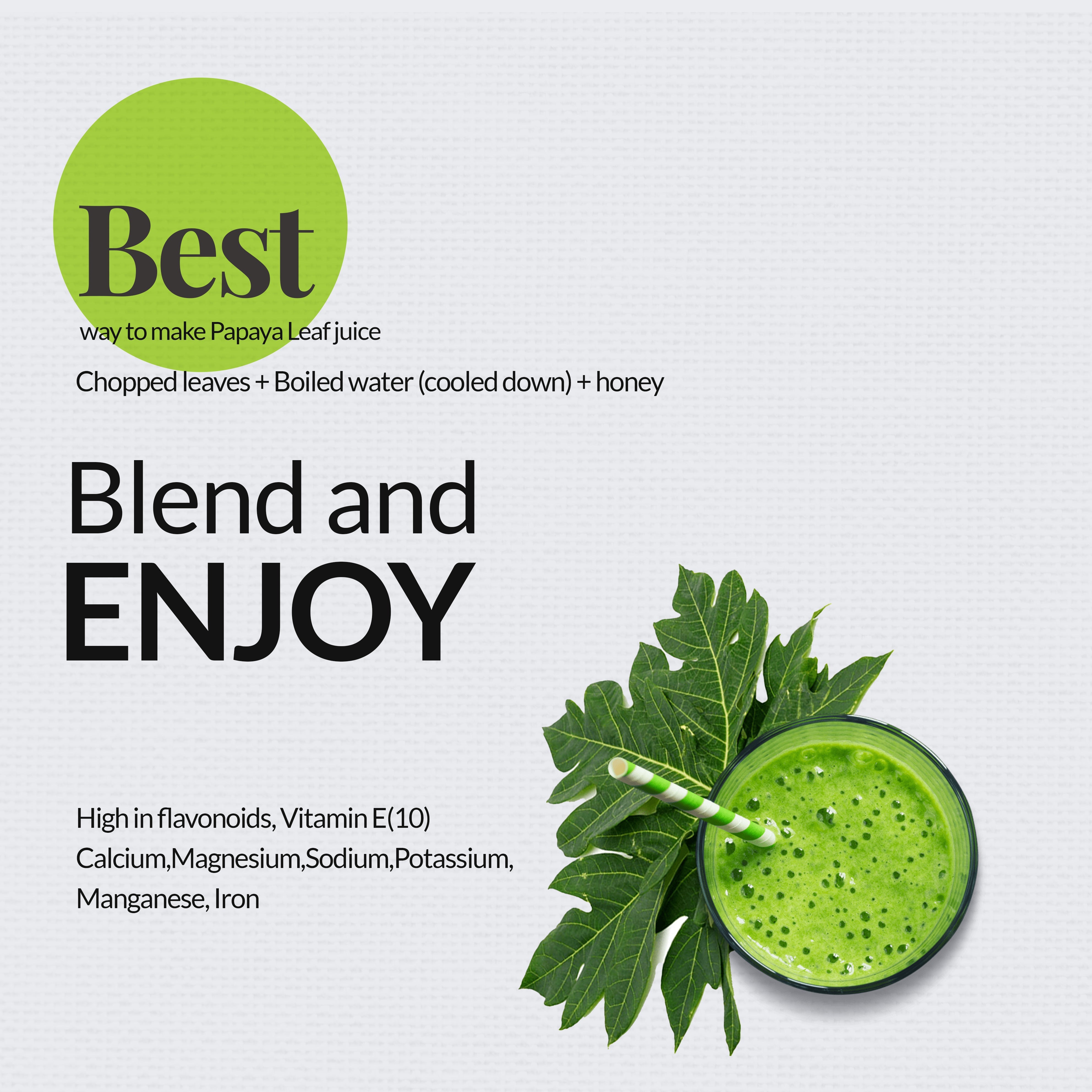 Blend and enjoy the zesty flavor of Papaya Leaf Tea that is high in flavonoids, Vitamin E(10), Calcium, Magnesium, Sodium, Potassium, Manganese and Iron